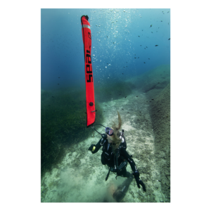 SEAC Boa di Segnalazione Diver Alert dettaglio della struttura