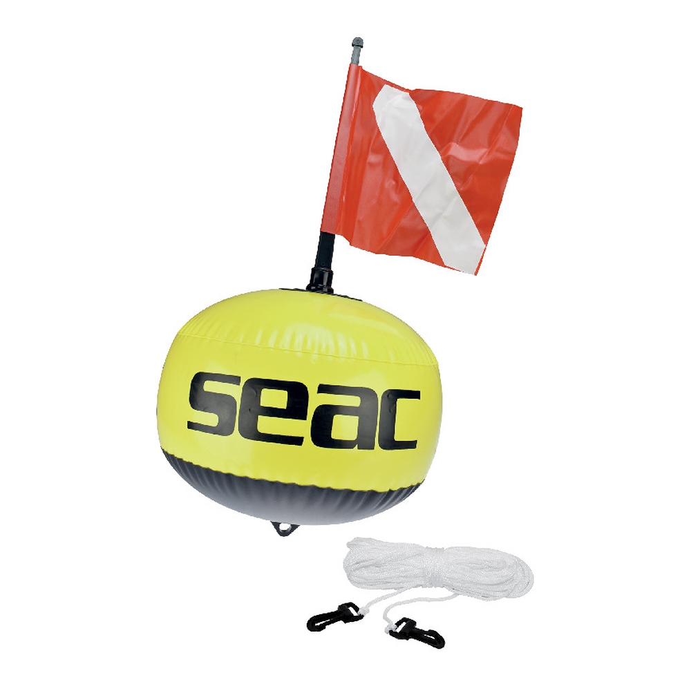 SEAC Boa Fluorescente su sfondo bianco