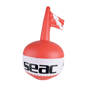 SEAC Boa Grande su sfondo bianco