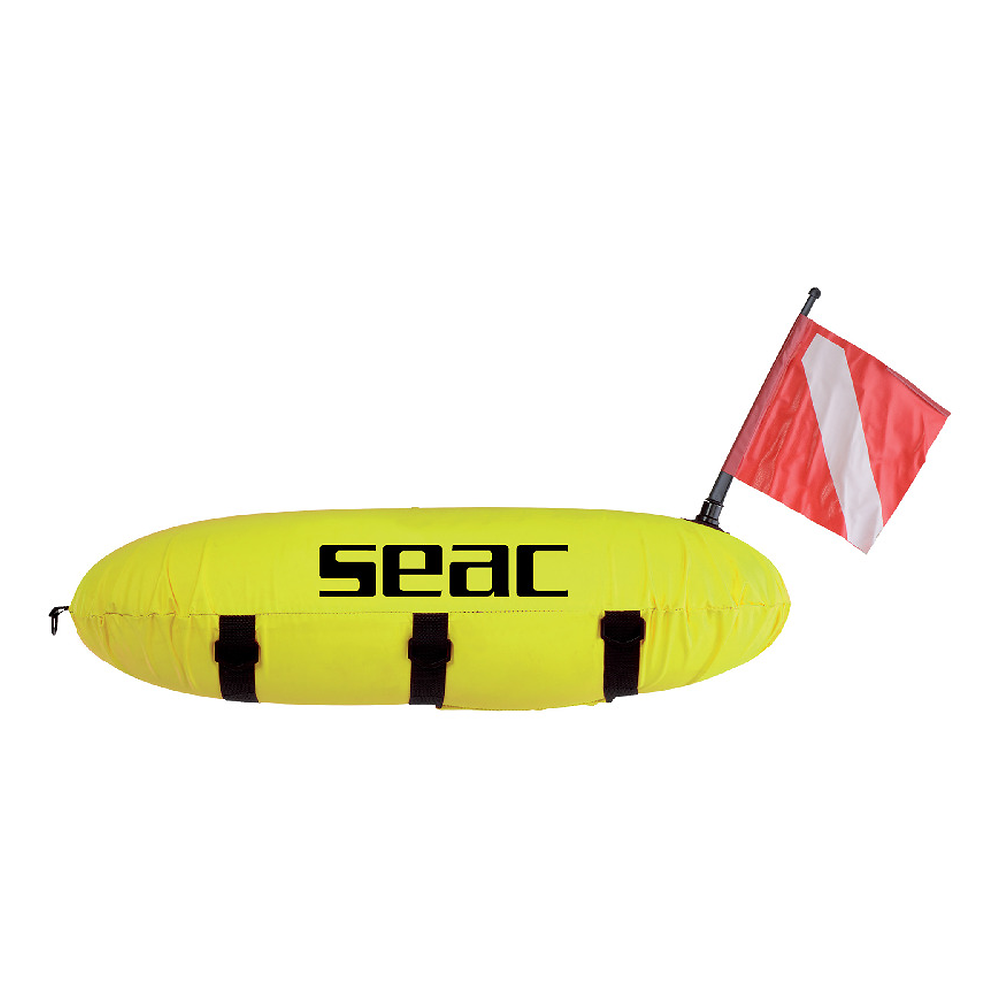 SEAC Boa New Siluro su sfondo bianco