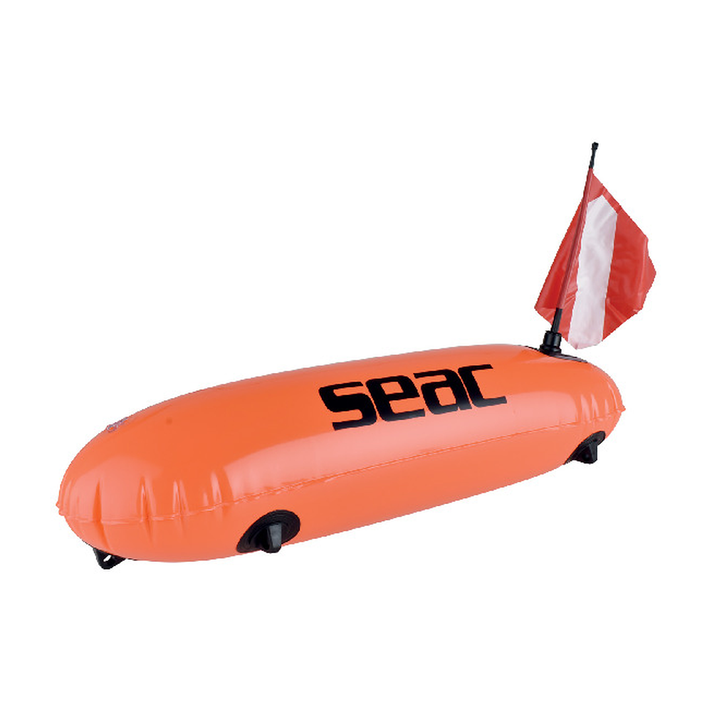 SEAC Boa Siluro Fluorescente su sfondo bianco